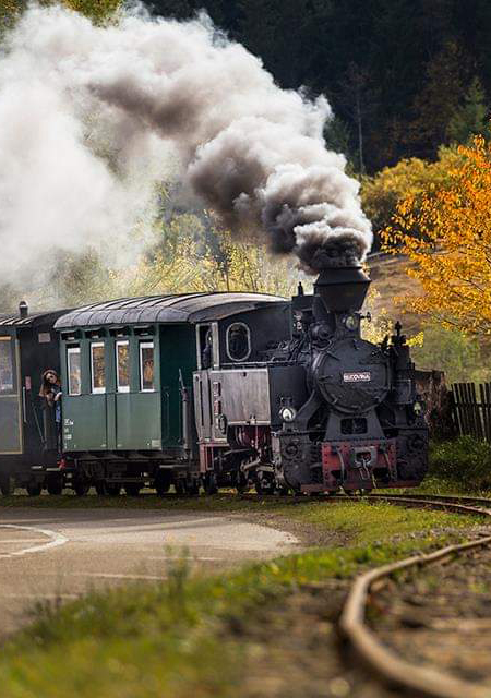Mocănița Moldovița